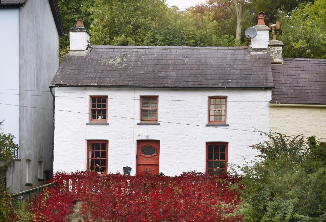 Arwel Holiday home New Quay (Ceredigion)