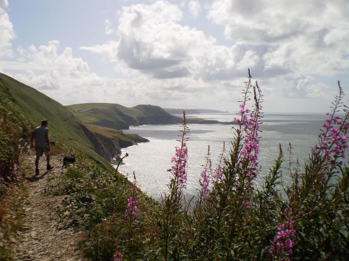 Holiday home Arwel New Quay (Ceredigion)
